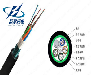 1542093635855222.jpg GYTS 2.jpg